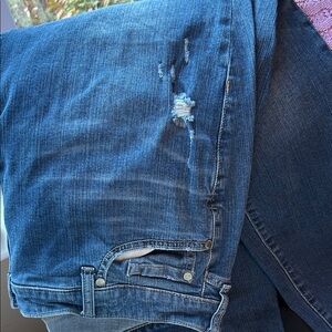 Torrid Blue Denim Jeans